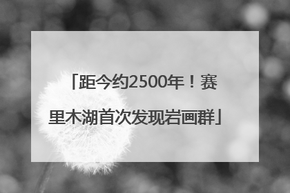 距今约2500年！赛里木湖首次发现岩画群