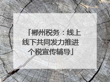 郴州税务：线上线下共同发力推进个税宣传辅导