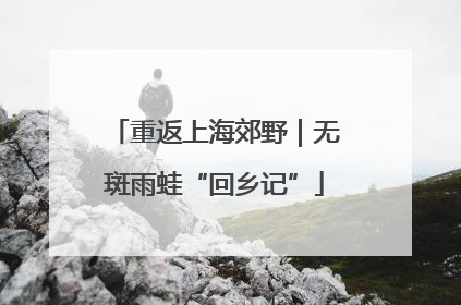 重返上海郊野｜无斑雨蛙“回乡记”