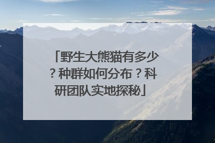 野生大熊猫有多少？种群如何分布？科研团队实地探秘