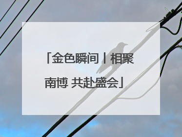 金色瞬间丨相聚南博 共赴盛会