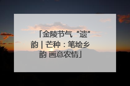 金陵节气“遗”韵｜芒种：笔绘乡韵 画意农情