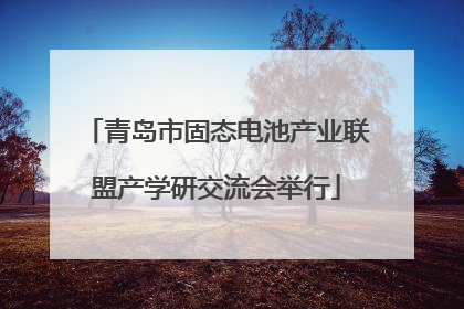 青岛市固态电池产业联盟产学研交流会举行