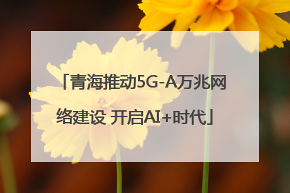 青海推动5G-A万兆网络建设 开启AI+时代