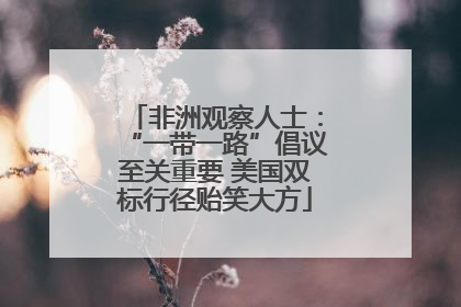 非洲观察人士：“一带一路”倡议至关重要 美国双标行径贻笑大方