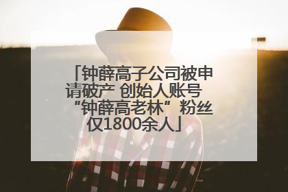 钟薛高子公司被申请破产 创始人账号“钟薛高老林”粉丝仅1800余人