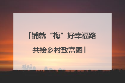 铺就“梅”好幸福路 共绘乡村致富图