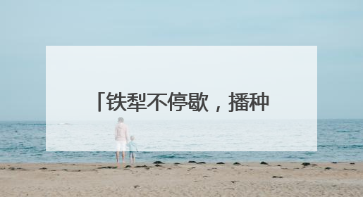 铁犁不停歇，播种新希望——山东“三夏”抢收抢种忙