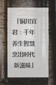 铜川宜君：千年养生智慧烹出时代新滋味