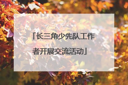 长三角少先队工作者开展交流活动