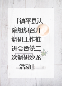 镇平县法院组织召开调研工作推进会暨第二次调研沙龙活动