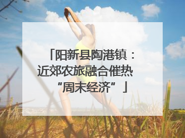 阳新县陶港镇：近郊农旅融合催热“周末经济”
