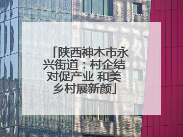 陕西神木市永兴街道：村企结对促产业 和美乡村展新颜