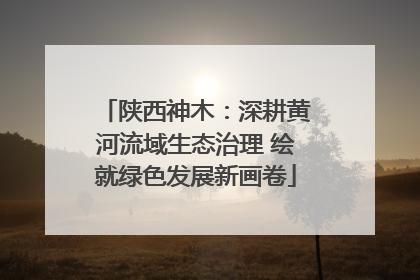 陕西神木：深耕黄河流域生态治理 绘就绿色发展新画卷