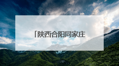 陕西合阳同家庄镇柏瑞社区：百亩杏园迎丰收 果农走上“杏”福路