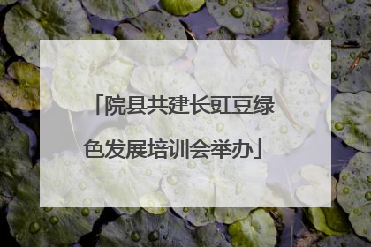 院县共建长豇豆绿色发展培训会举办