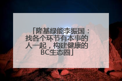 隆基绿能李振国：找各个环节有本事的人一起，构建健康的BC生态圈
