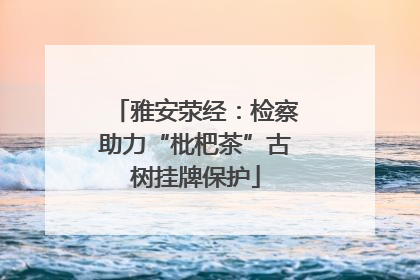 雅安荥经：检察助力“枇杷茶”古树挂牌保护