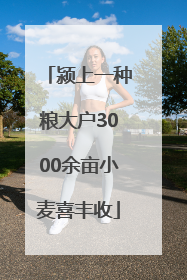 颍上一种粮大户3000余亩小麦喜丰收