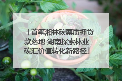 首笔湘林碳票质押贷款落地 湖南探索林业碳汇价值转化新路径