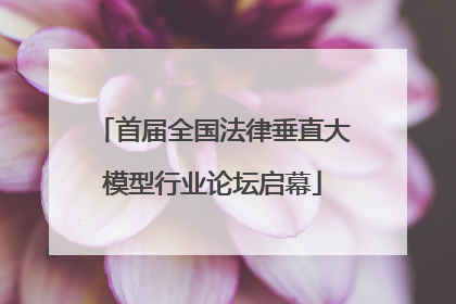 首届全国法律垂直大模型行业论坛启幕