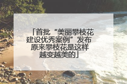 首批“美丽攀枝花建设优秀案例”发布 原来攀枝花是这样越变越美的