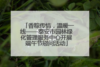 香粽传情，温暖一线——泰安市园林绿化管理服务中心开展端午节慰问活动