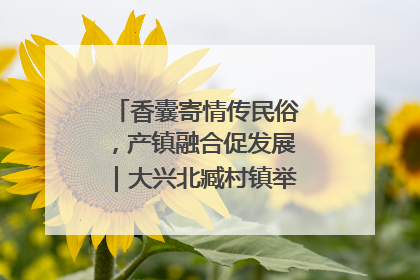 香囊寄情传民俗，产镇融合促发展｜大兴北臧村镇举办端午主题活动