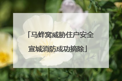 马蜂窝威胁住户安全 宣城消防成功摘除