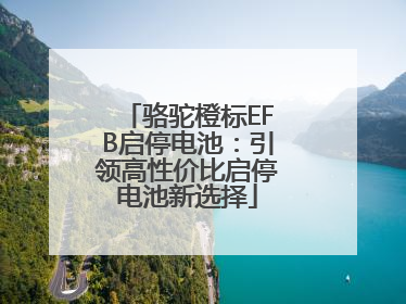 骆驼橙标EFB启停电池：引领高性价比启停电池新选择