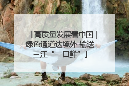 高质量发展看中国｜绿色通道达境外 输送三江“一口鲜”