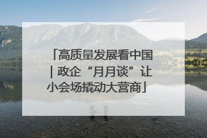 高质量发展看中国｜政企“月月谈”让小会场撬动大营商