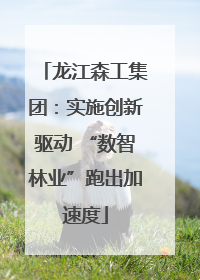 龙江森工集团：实施创新驱动 “数智林业”跑出加速度