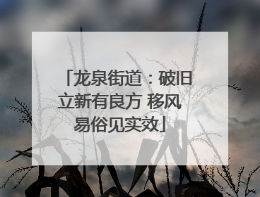 龙泉街道：破旧立新有良方 移风易俗见实效