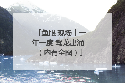 鱼眼·现场丨一年一度 驾龙出涌（内有全图）