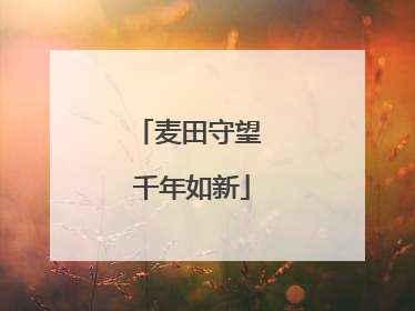 麦田守望 千年如新