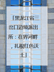 黑龙江省三岔口边境派出所：在界河畔，扎根红色沃土