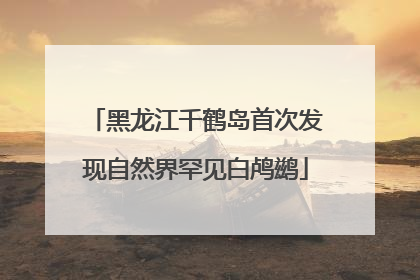 黑龙江千鹤岛首次发现自然界罕见白鸬鹚