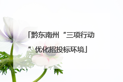 黔东南州“三项行动”优化招投标环境