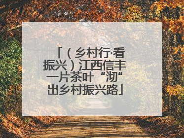 （乡村行·看振兴）江西信丰一片茶叶“沏”出乡村振兴路