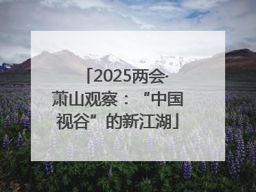 2025两会·萧山观察：“中国视谷”的新江湖