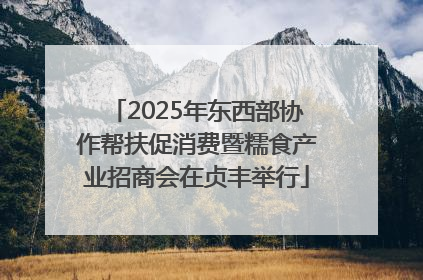 2025年东西部协作帮扶促消费暨糯食产业招商会在贞丰举行