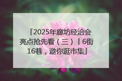 2025年廊坊经洽会亮点抢先看（三）丨6街16巷，邀你逛市集