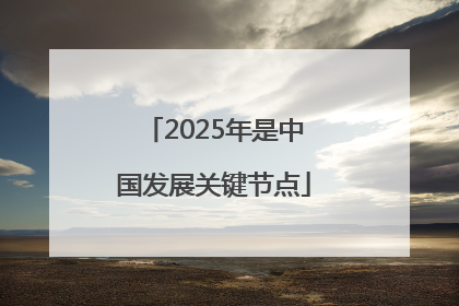 2025年是中国发展关键节点