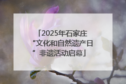 2025年石家庄“文化和自然遗产日”非遗活动启幕