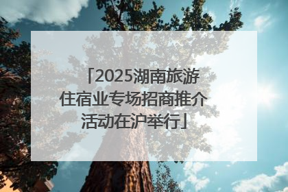 2025湖南旅游住宿业专场招商推介活动在沪举行