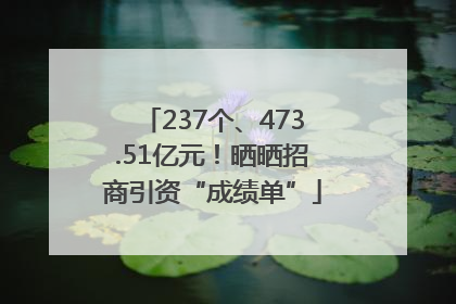 237个、473.51亿元！晒晒招商引资“成绩单”