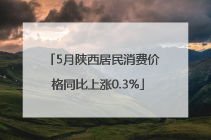 5月陕西居民消费价格同比上涨0.3%