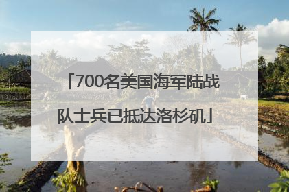 700名美国海军陆战队士兵已抵达洛杉矶