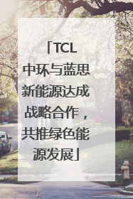 TCL 中环与蓝思新能源达成战略合作，共推绿色能源发展